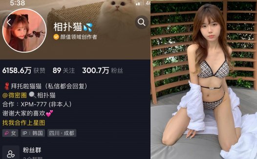 相扑猫微密照片视频合集,她去全季酒店拍过片子吗