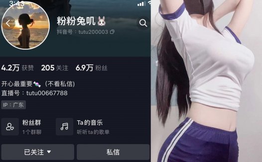 抖音粉粉兔叽微密资源，童话般柔软的色彩