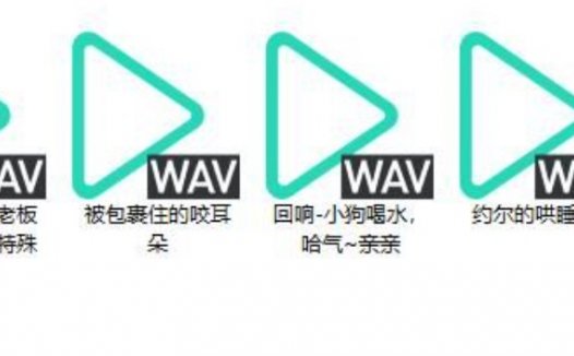 b站芝恩㱏asmr助眠爱发电中文音声音频资源