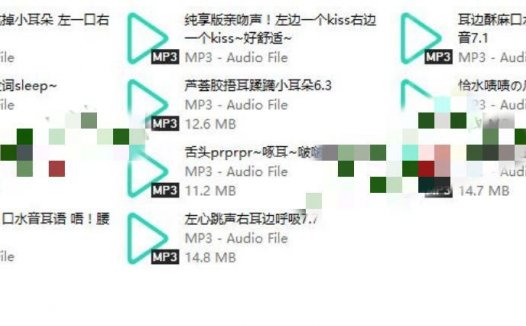 Flora圆圆小石头舰长音频礼包,爱发电充电音声资源