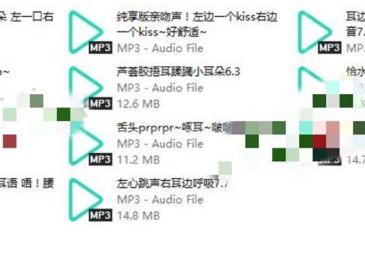 Flora圆圆小石头舰长音频礼包，爱发电充电音声资源